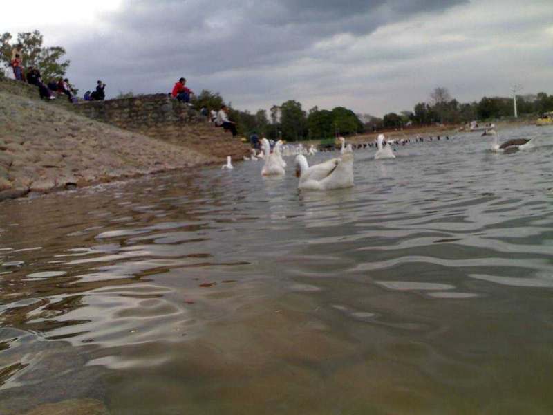 Sukhna Lake, Chandigarh