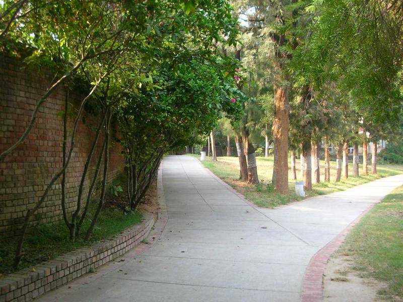 Rose Garden Chandigarh